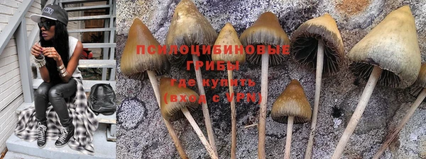 не бодяженный Армянск