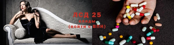 PSILOCYBIN Алексеевка