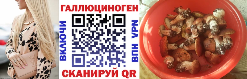Галлюциногенные грибы Cubensis закладка Усмань